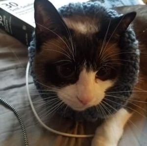 Meet your Posher, Arianna